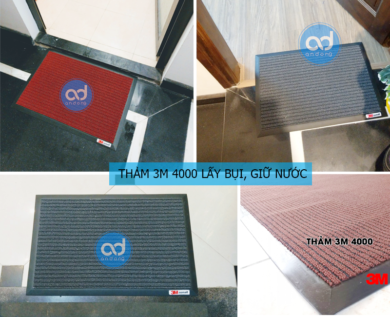 3M 4000 nomad-andong